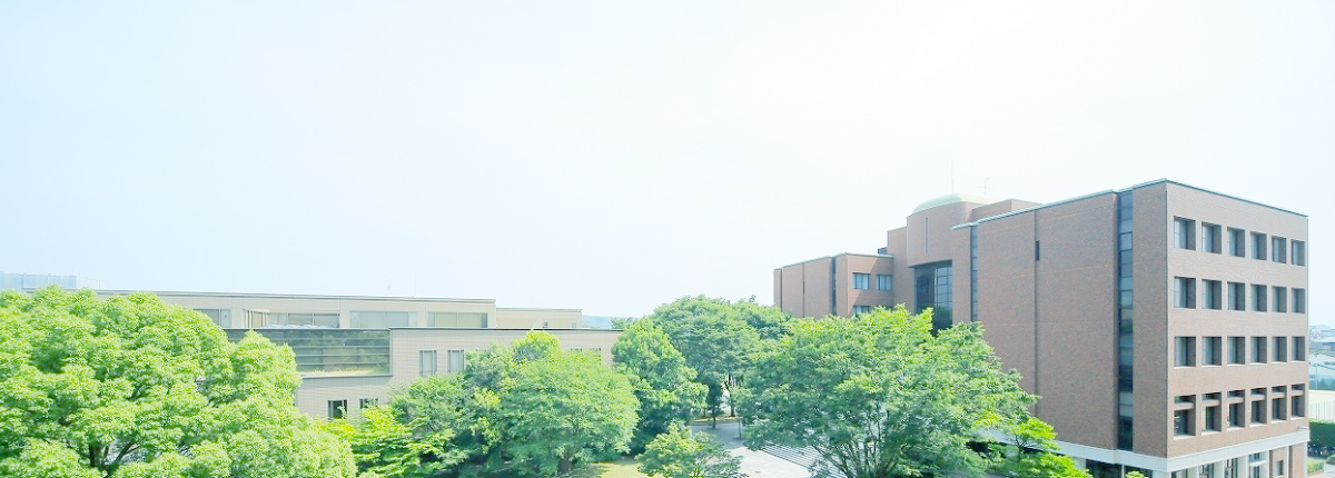 大学への交通アクセス