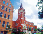 圣道大学